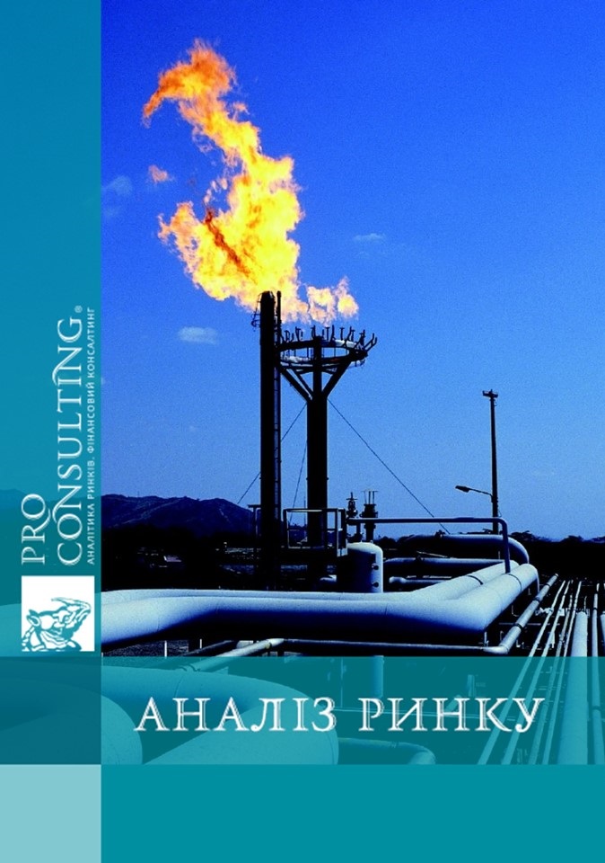 Аналіз ринку видобутку та переробки газу на малодебітних родовищах України, 2010 рік